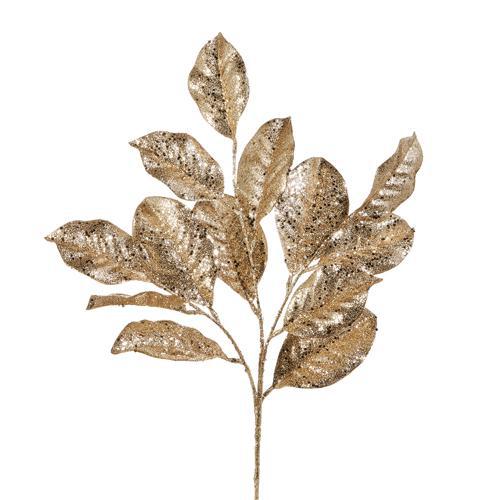 Gold Magnolia Stem
