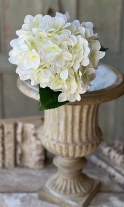 22" Cameo Hydrangea