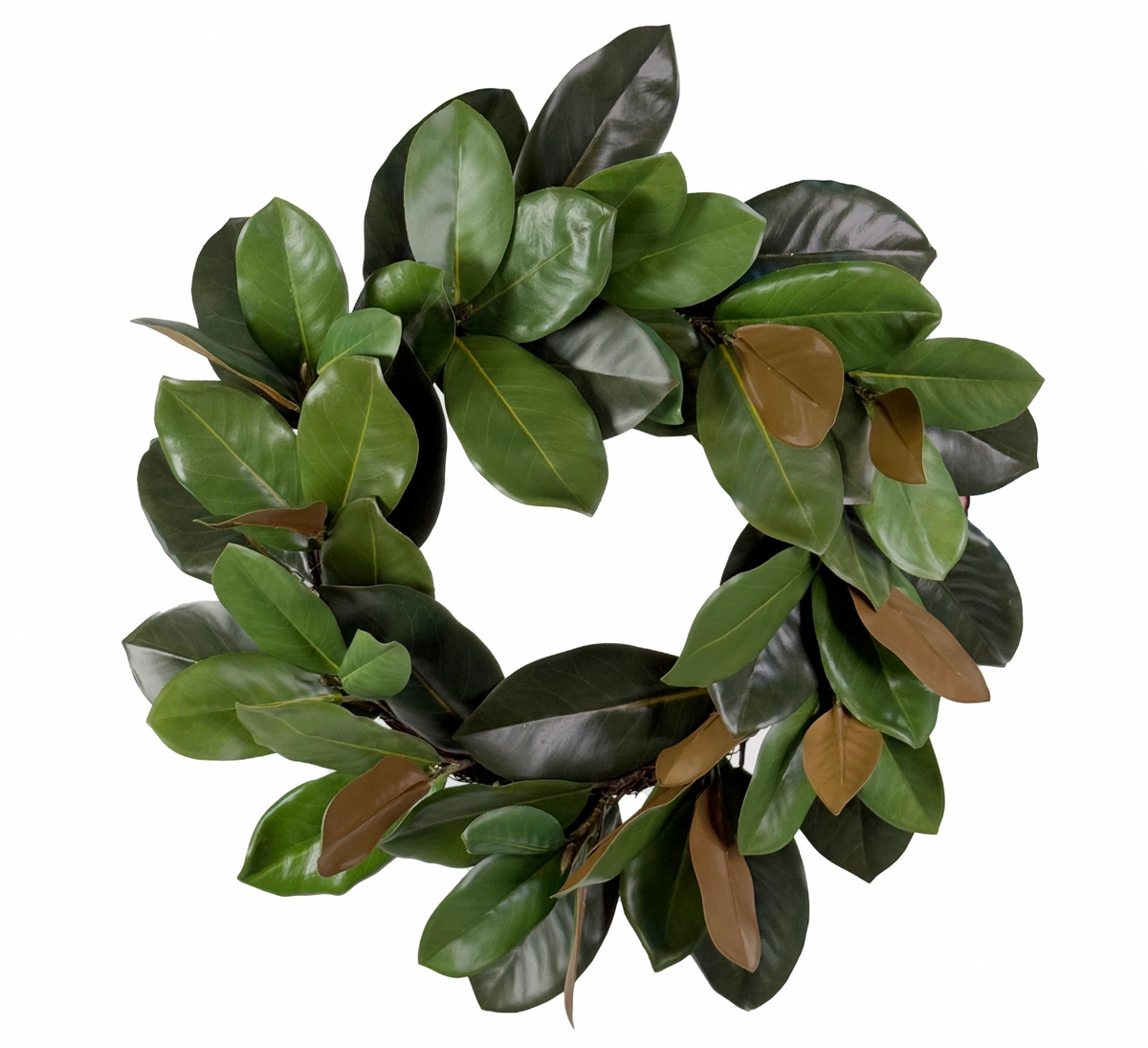 Magnolia Green Wreath