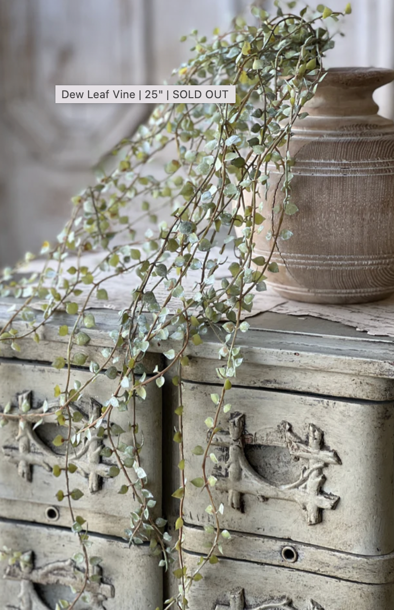 Dew Leaf Vine