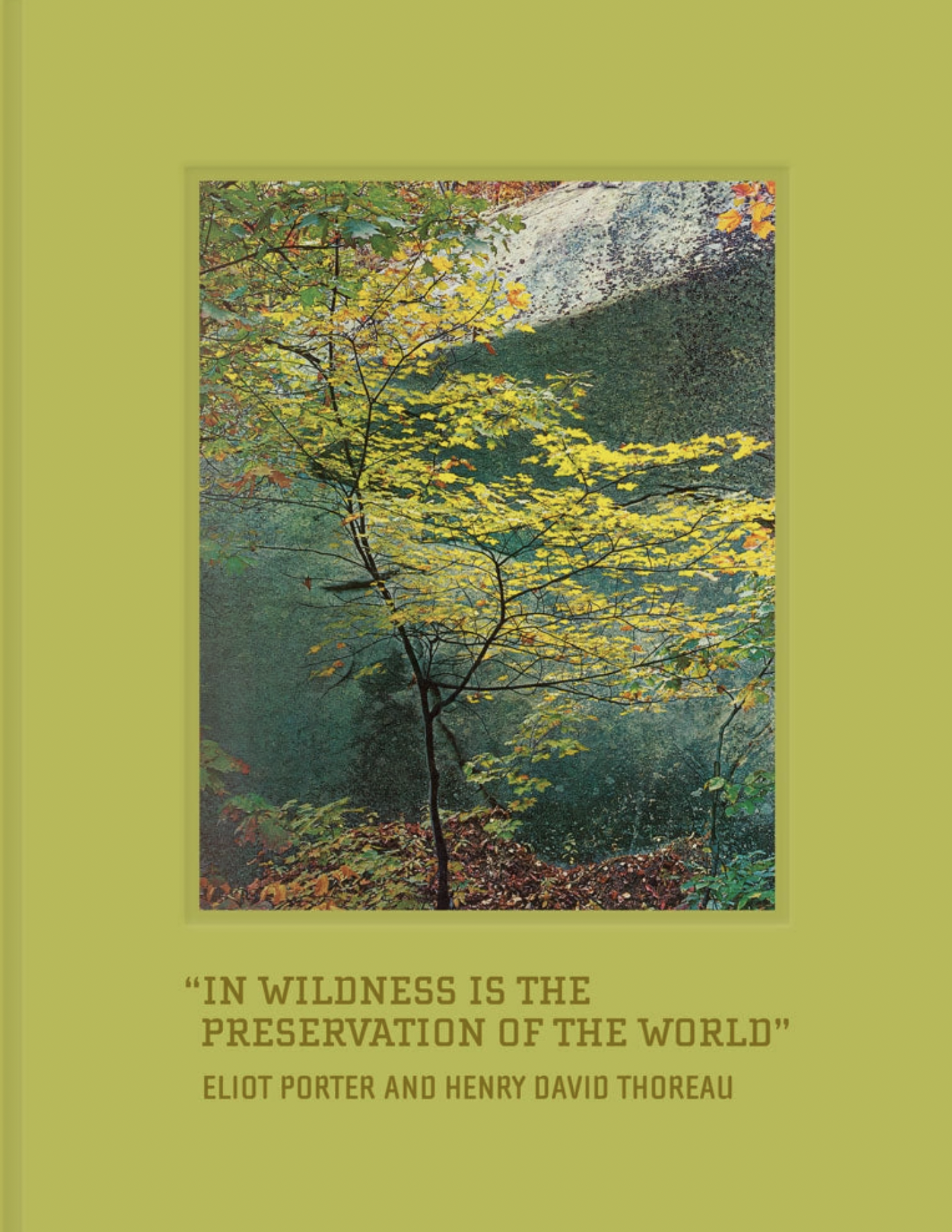 In Wildness Coffee Table Book