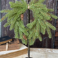 12" Arden Fir Hanging Wreath