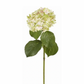 Pink/Green Hydrangea