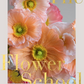 The Flower School