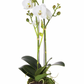 23" Phalaenopsis Drop-In