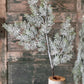 Fairisle Cedar Spray