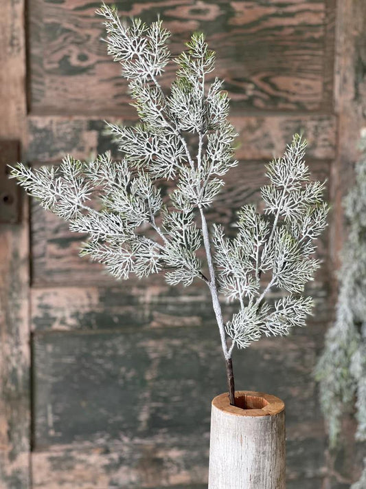 Fairisle Cedar Spray