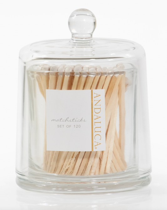 Tall Glass  Cloche with Matches