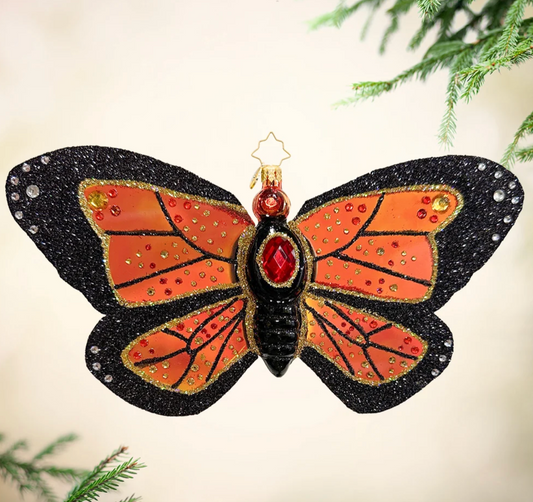 CR Monarch Magic