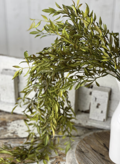 Smilax Hanging Green