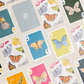CC Butterfly Playing Cards with Acrylic Case