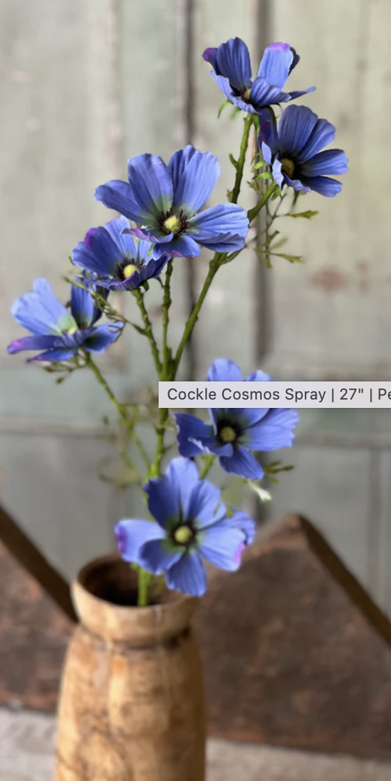 27" Cockle Cosmos Spray