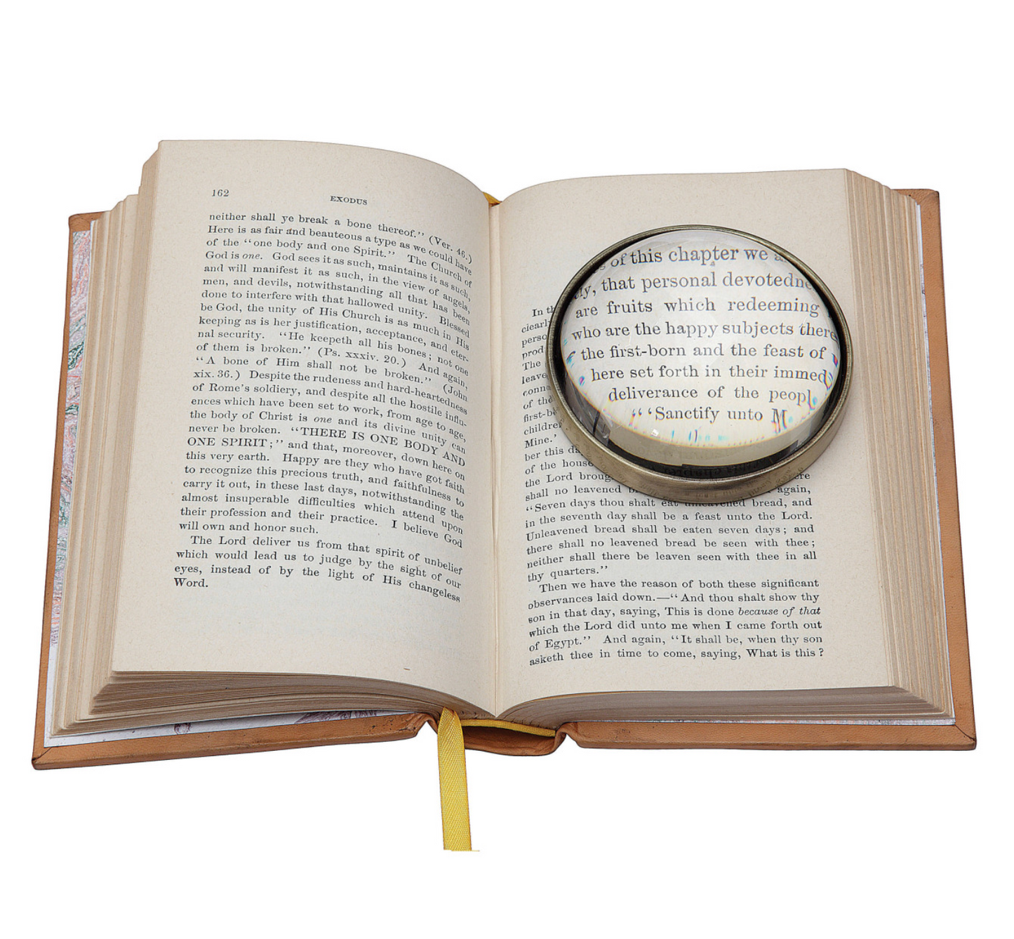 Magnifying Paperweight