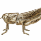 Gold Resin & Metal Grasshopper