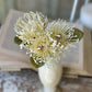 12" Pincushion Proteas