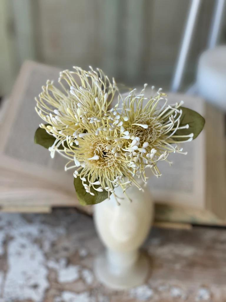 12" Pincushion Proteas