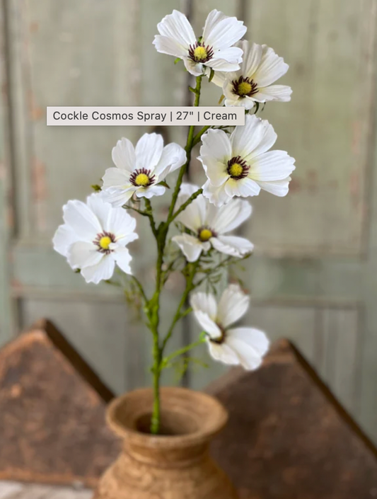 27" Cockle Cosmos Spray