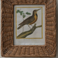 Hand Woven 5 X 7 Frame