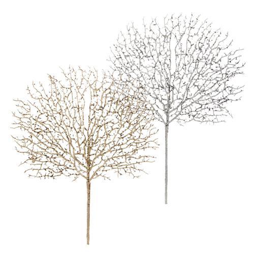Coral Stem