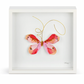 Elisabeth Hays Butterfly Art