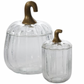 Translucent Pumpkin Terrarium