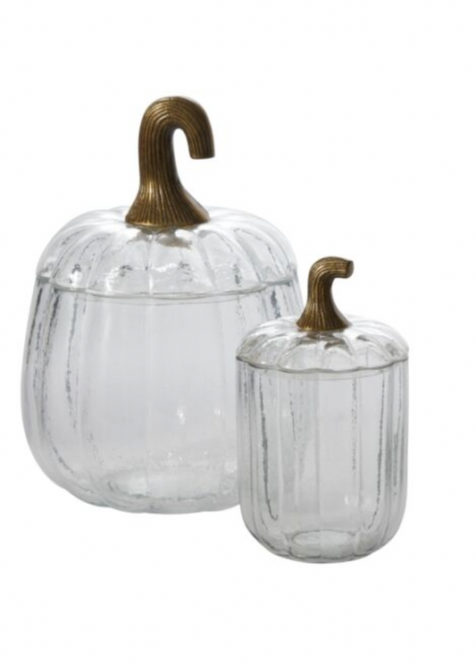 Translucent Pumpkin Terrarium