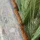 9' Loft Needle Pine Rope Garland