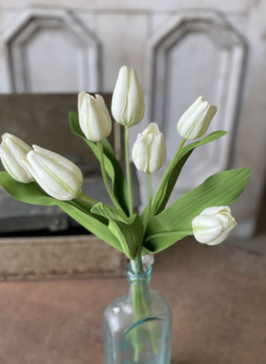 14.5" Tulip Time White
