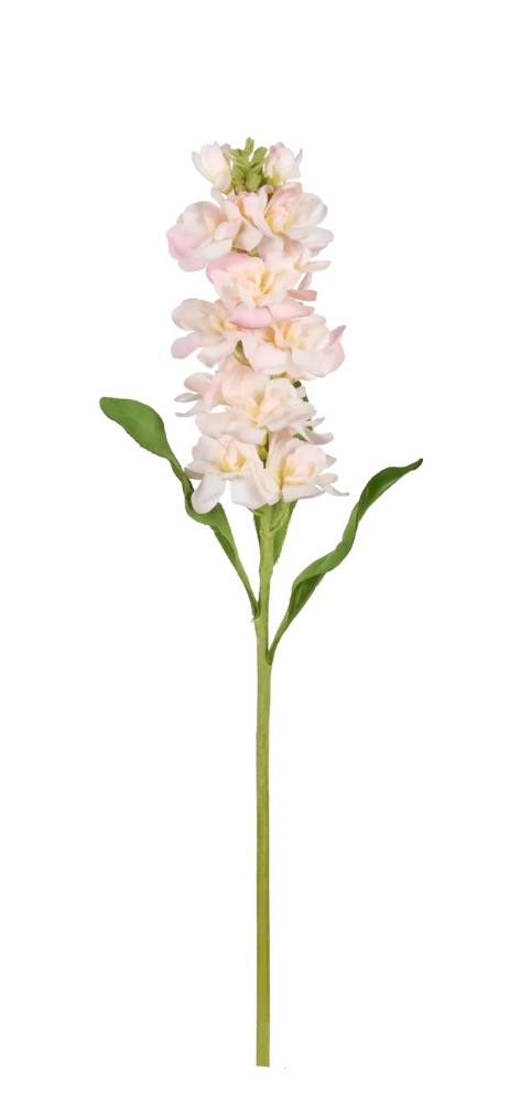 Stock Flower
