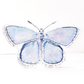 CC Blue Acrylic Butterfly