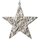 Aluminum Star Ornament