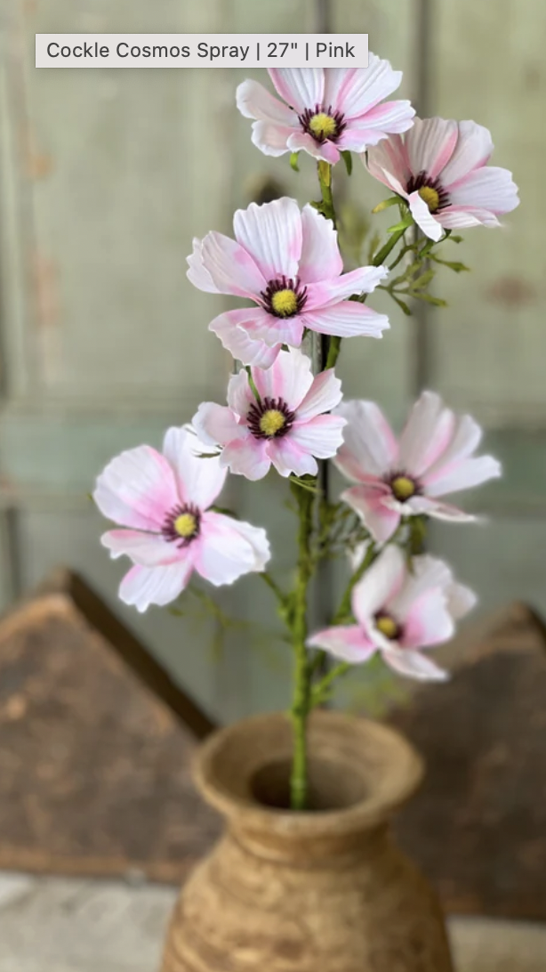 27" Cockle Cosmos Spray