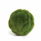 Mood Moss Orb