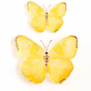 CC Yellow Acrylic Butterfly