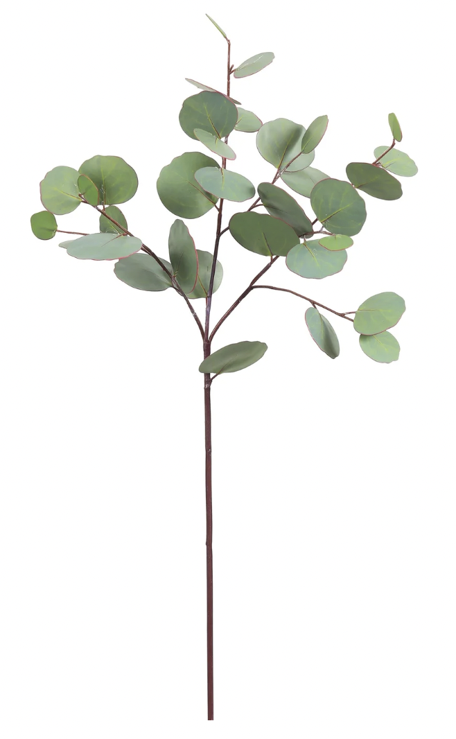 Eucalyptus Spray