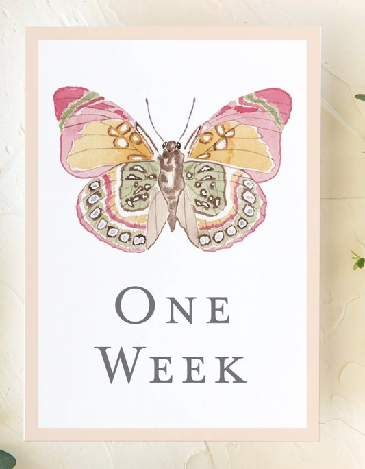 CC Baby Milestone Cards