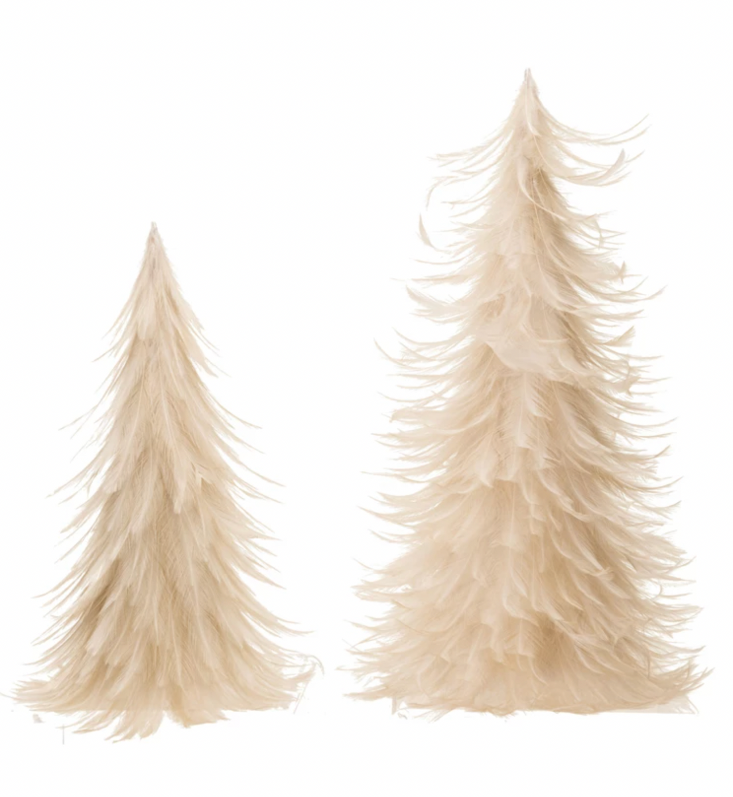 S/2 Cream Feather Trees