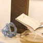 Lucite Book Stand