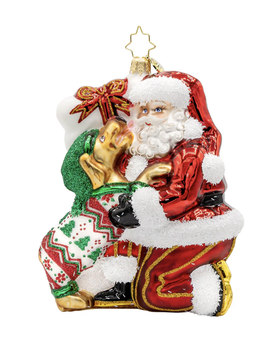 Santa's Pawsome Playtime