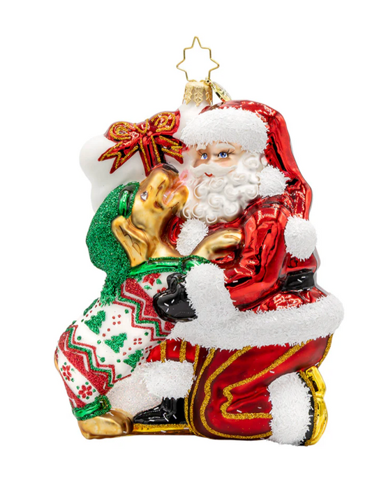 Santa's Pawsome Playtime