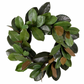 Magnolia Green Wreath