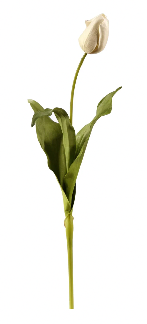 24.5" White Tulip Dutch Close