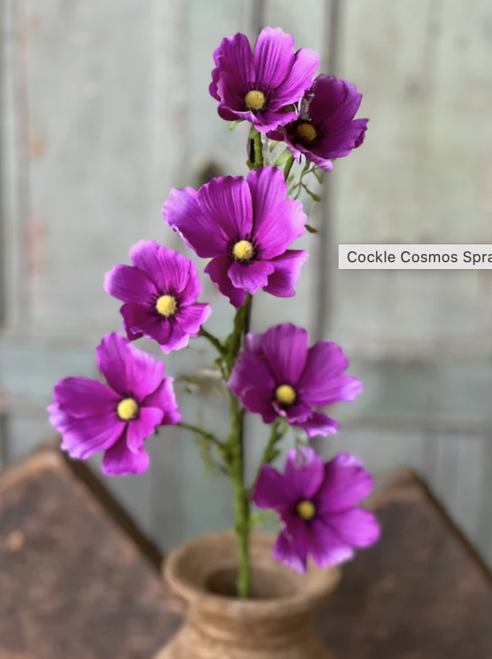 27" Cockle Cosmos Spray