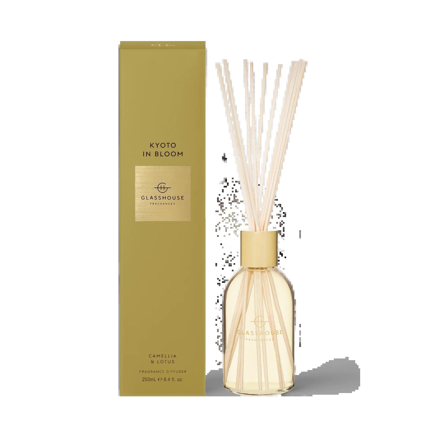 Kyoto 8.4 fl oz Diffuser