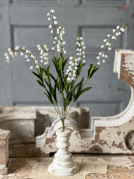 Lofty Lily of the Valley