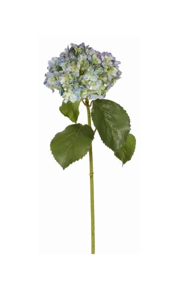 25.5" Blue Hydrangea