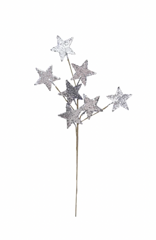 22" Silver Glitter Star Pick