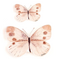 CC A Neutral Butterfly