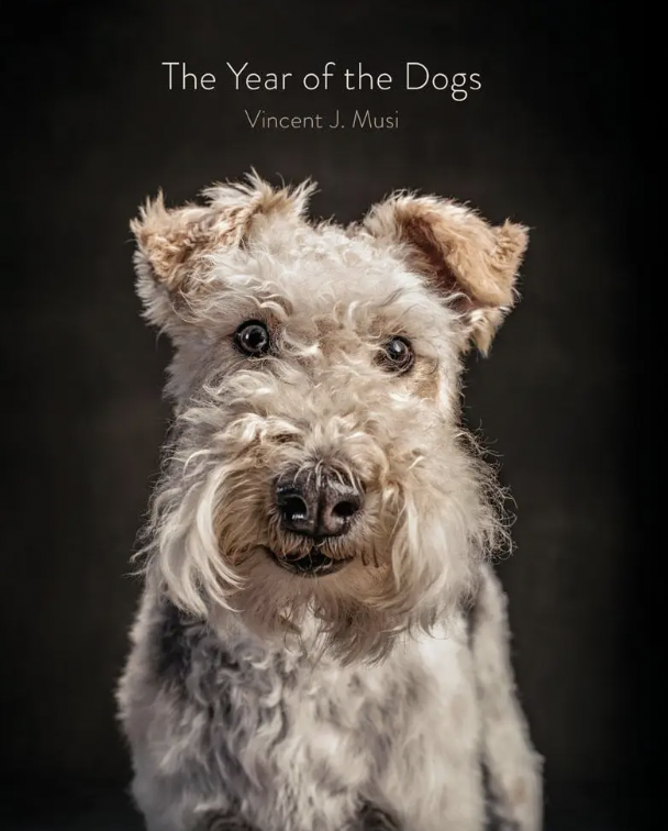 The Year of the Dogs Book
