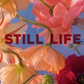 Still Life Coffee Table Book